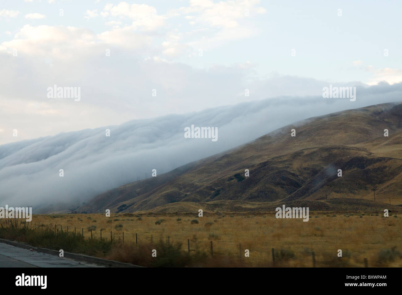 Nebbia rotolamento sulla montagna - Pass Tejon, California USA Foto Stock