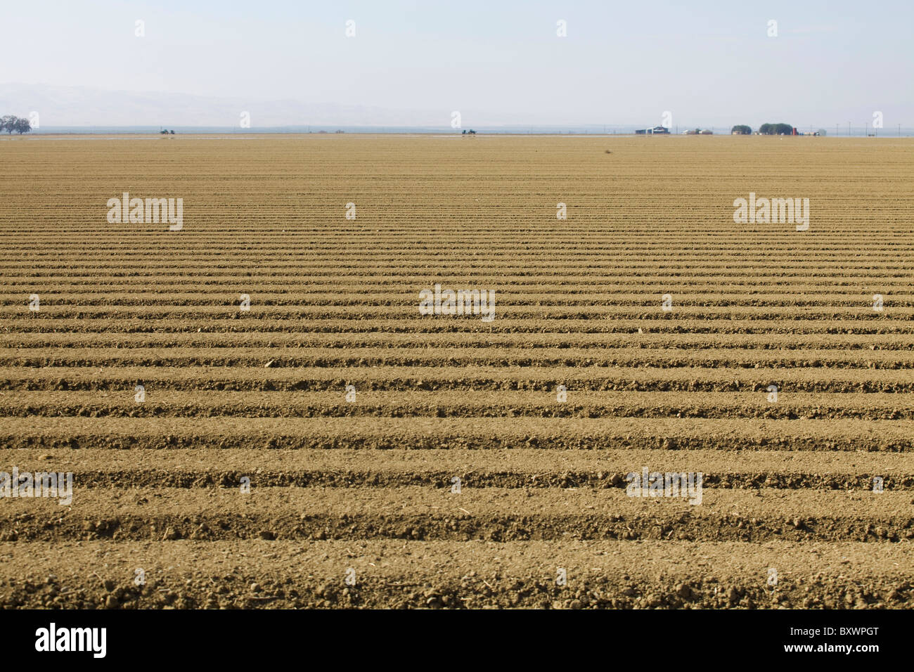 Campo arato Foto Stock