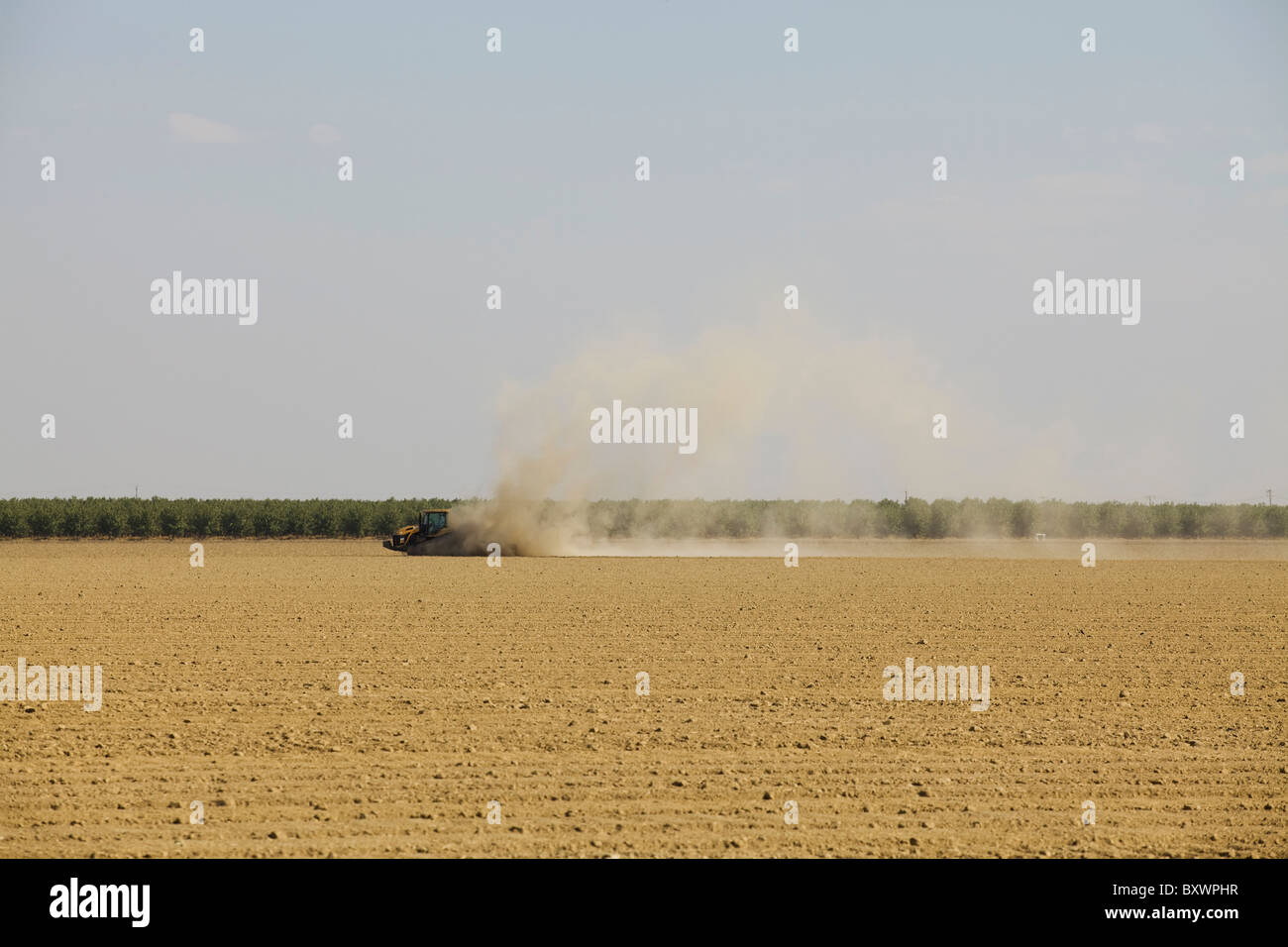 Un trattore calci fino la polvere di guida su terreni agricoli a secco topsoil, Turlock, California Foto Stock