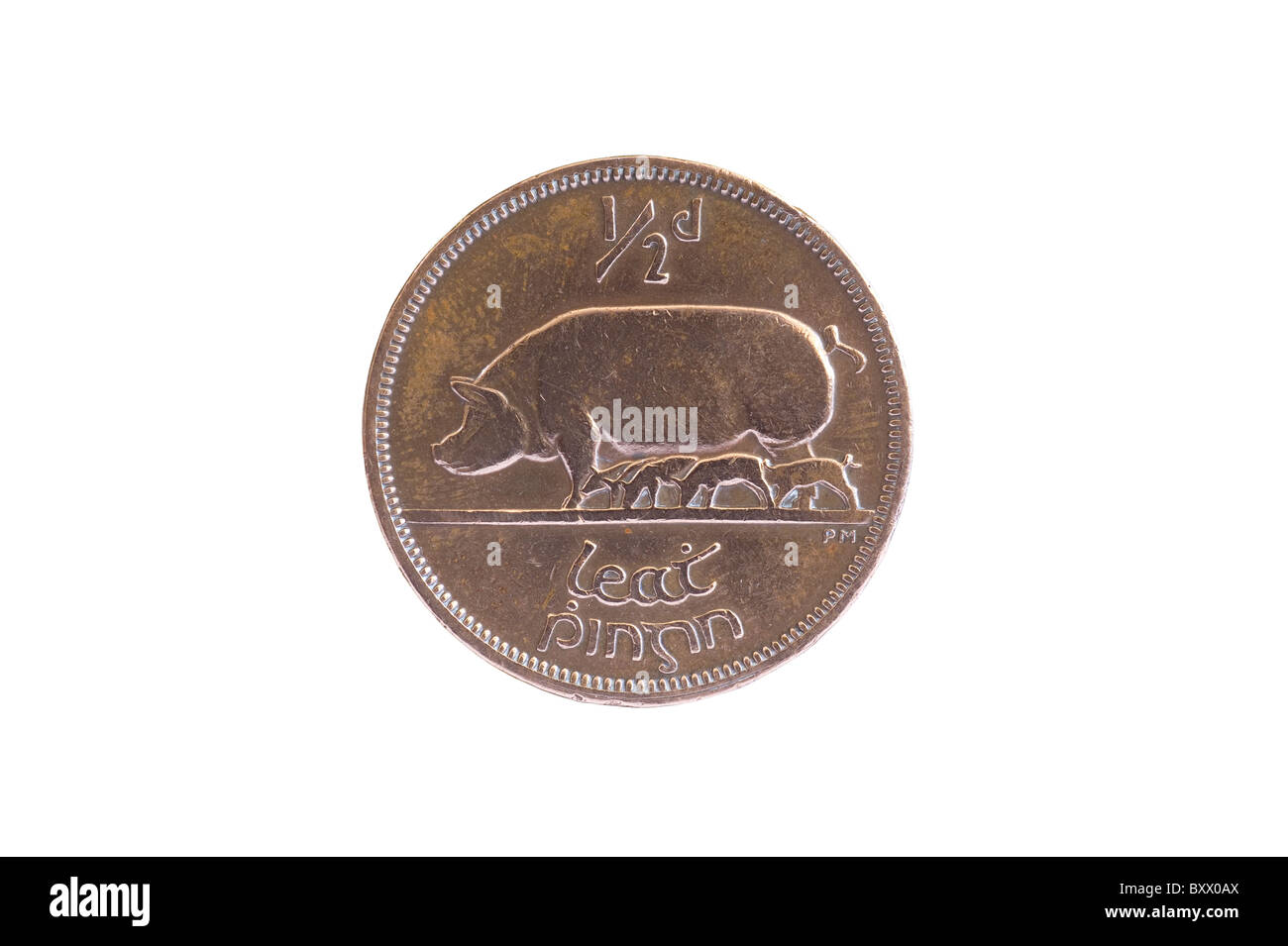 1935 Irish 1/2d moneta di seminare i suini e i suinetti Foto Stock
