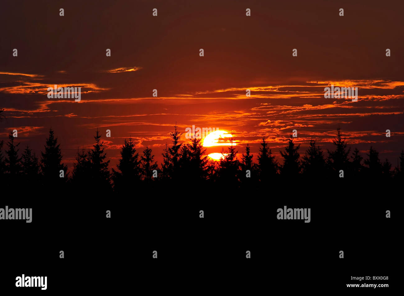 Rosy sky - tramonto Foto Stock