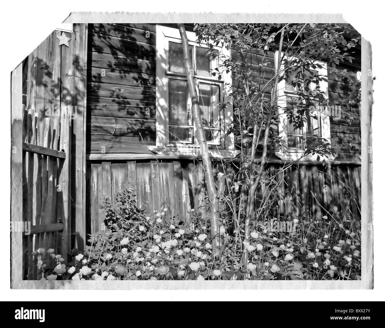 Fotografia di invecchiamento Foto Stock