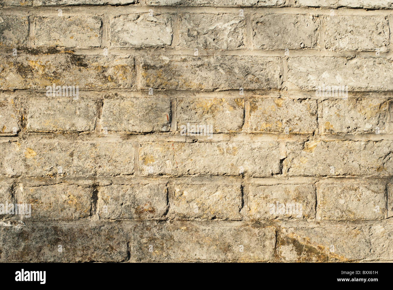 Dettaglio di una pietra muro in mattoni con ombre ad albero Foto Stock
