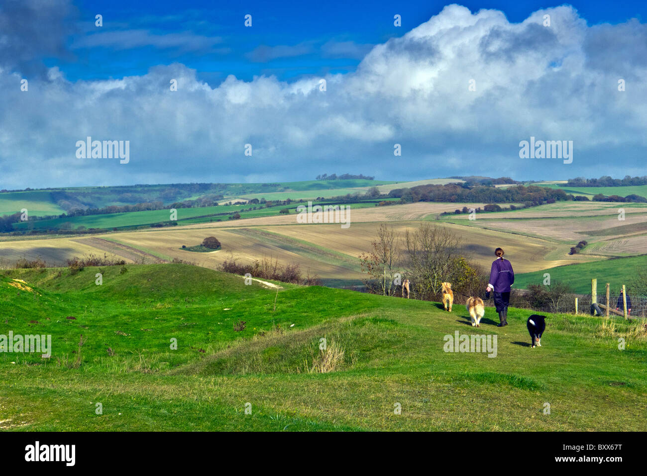 Donna che cammina i suoi cani su Cissbury Ring, Findon, Worthing, West Sussex, in Inghilterra, Regno Unito Foto Stock