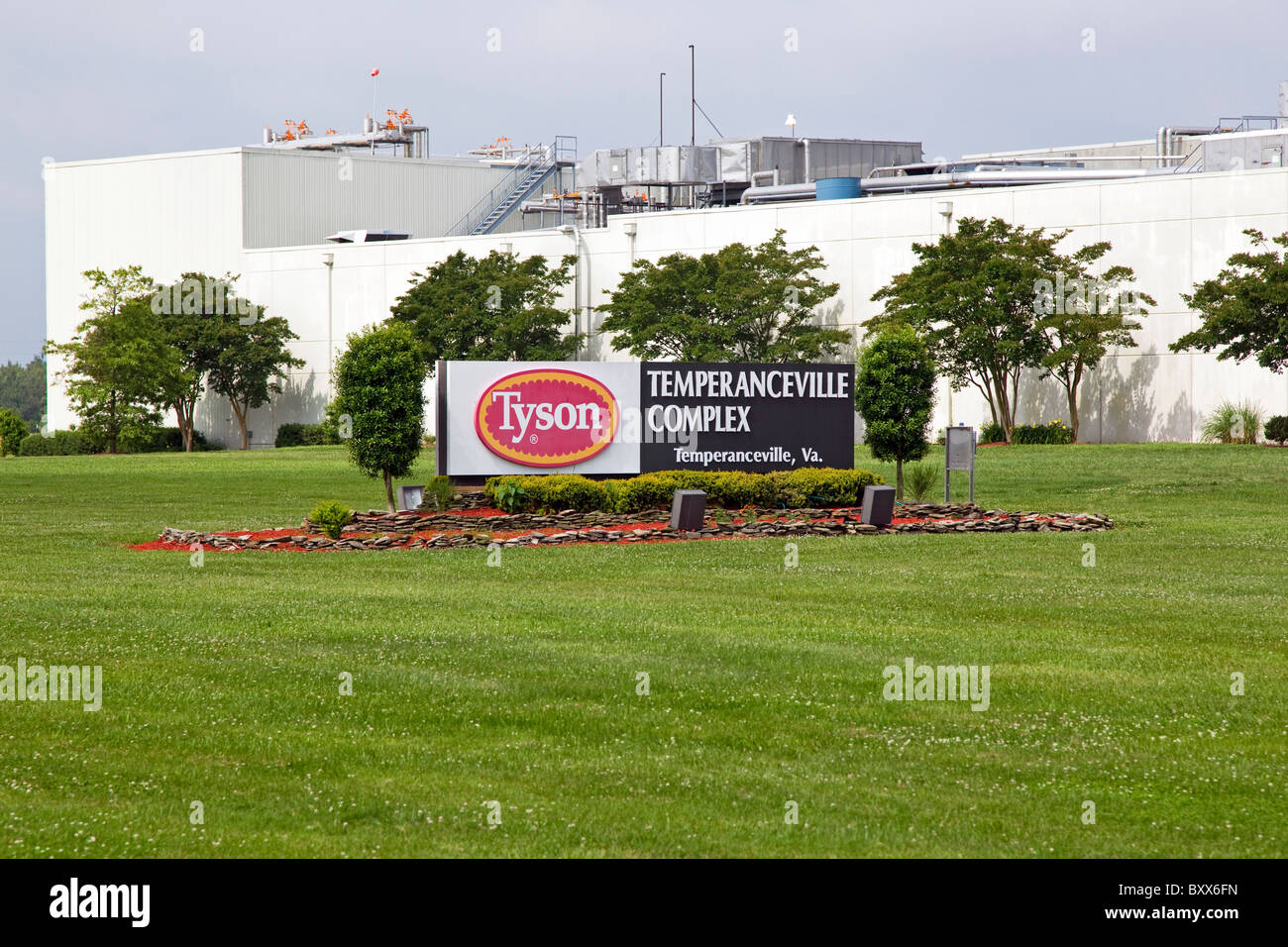 Tyson Temperanceville complessa, il pollo nello stabilimento di trasformazione, il segno e il quartier generale in Virginia, Stati Uniti d'America Foto Stock