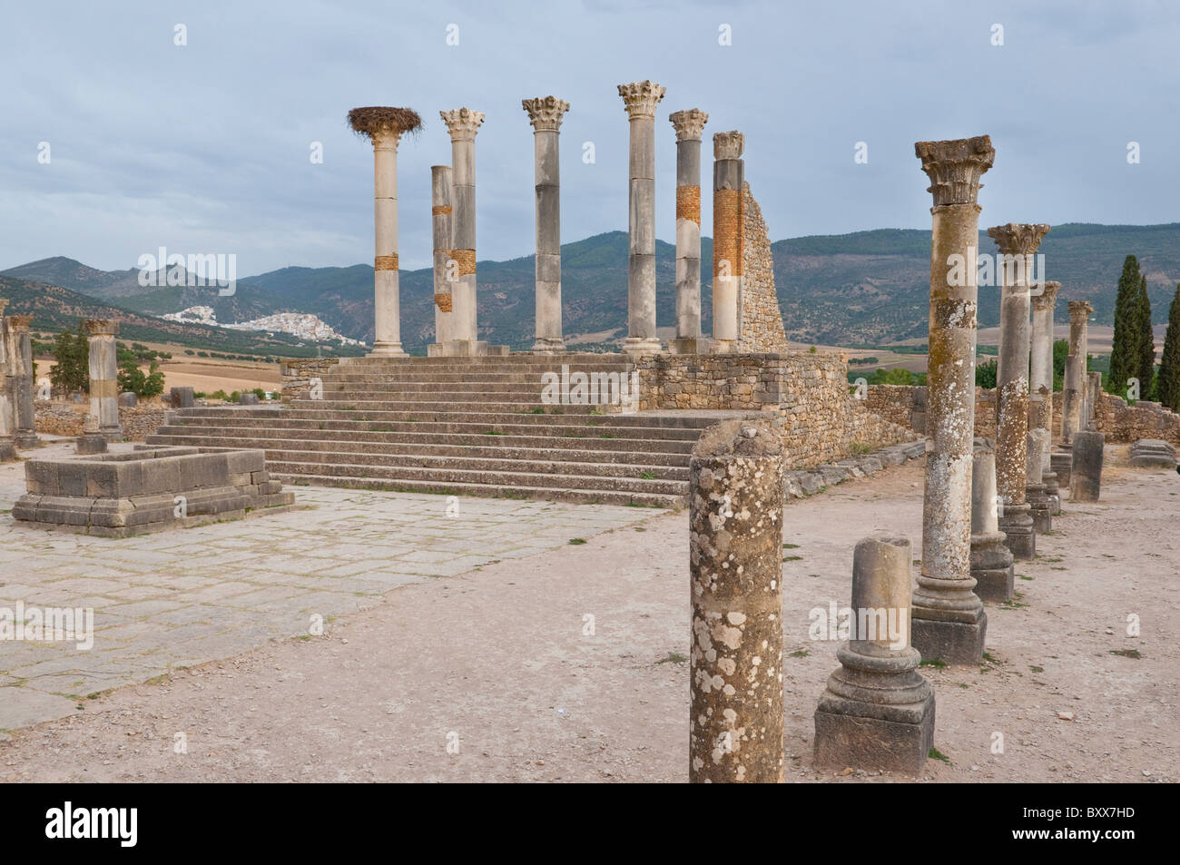 La Basilica a Volubilis sito archeologico nei pressi di Moulay Idriss, Marocco, Africa del nord, Foto Stock