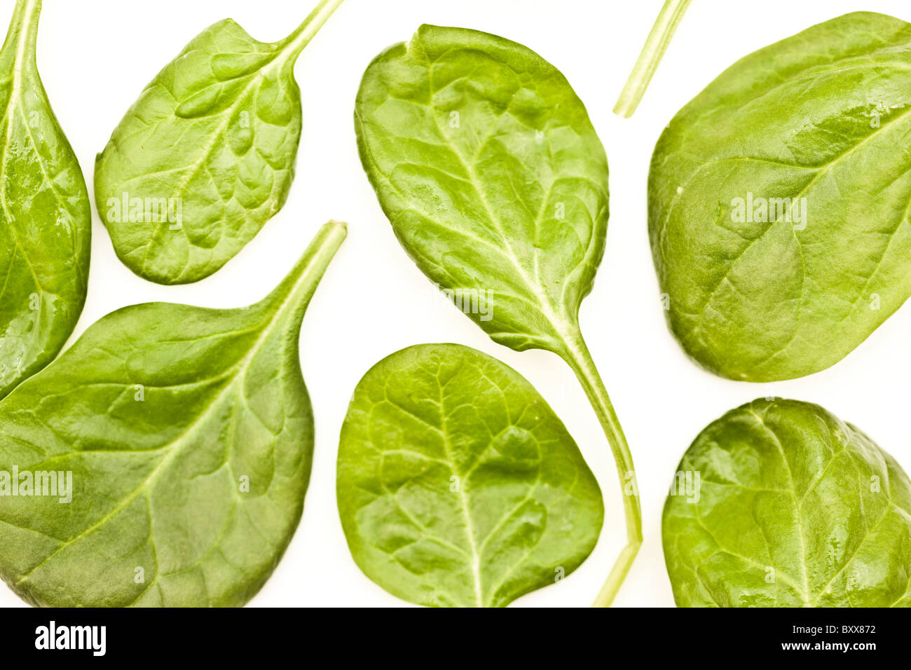 foglie di spinaci Foto Stock