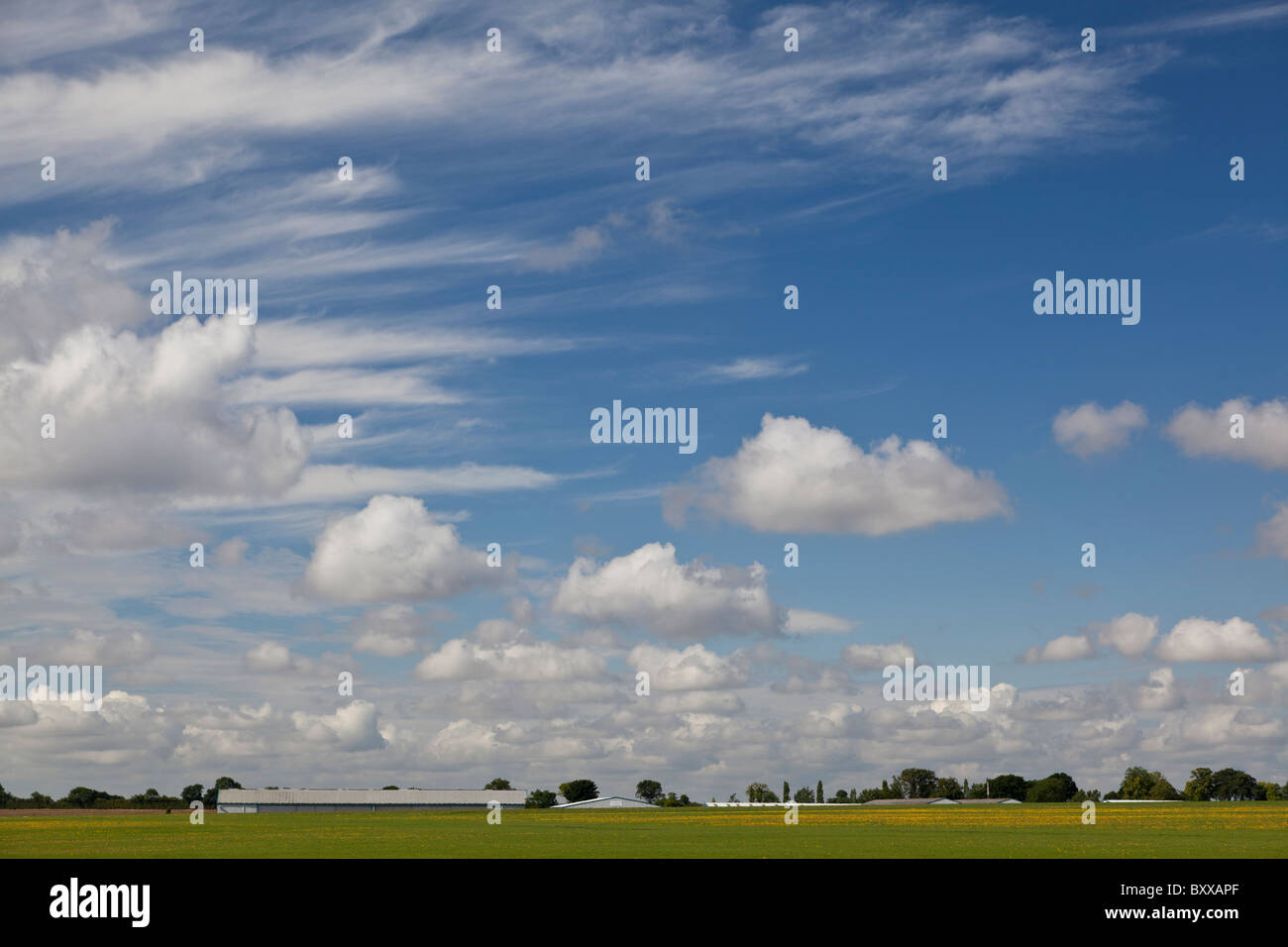 Skyscape con cirrus e cumuli di nuvole, oltre il Northamptonshire Foto Stock