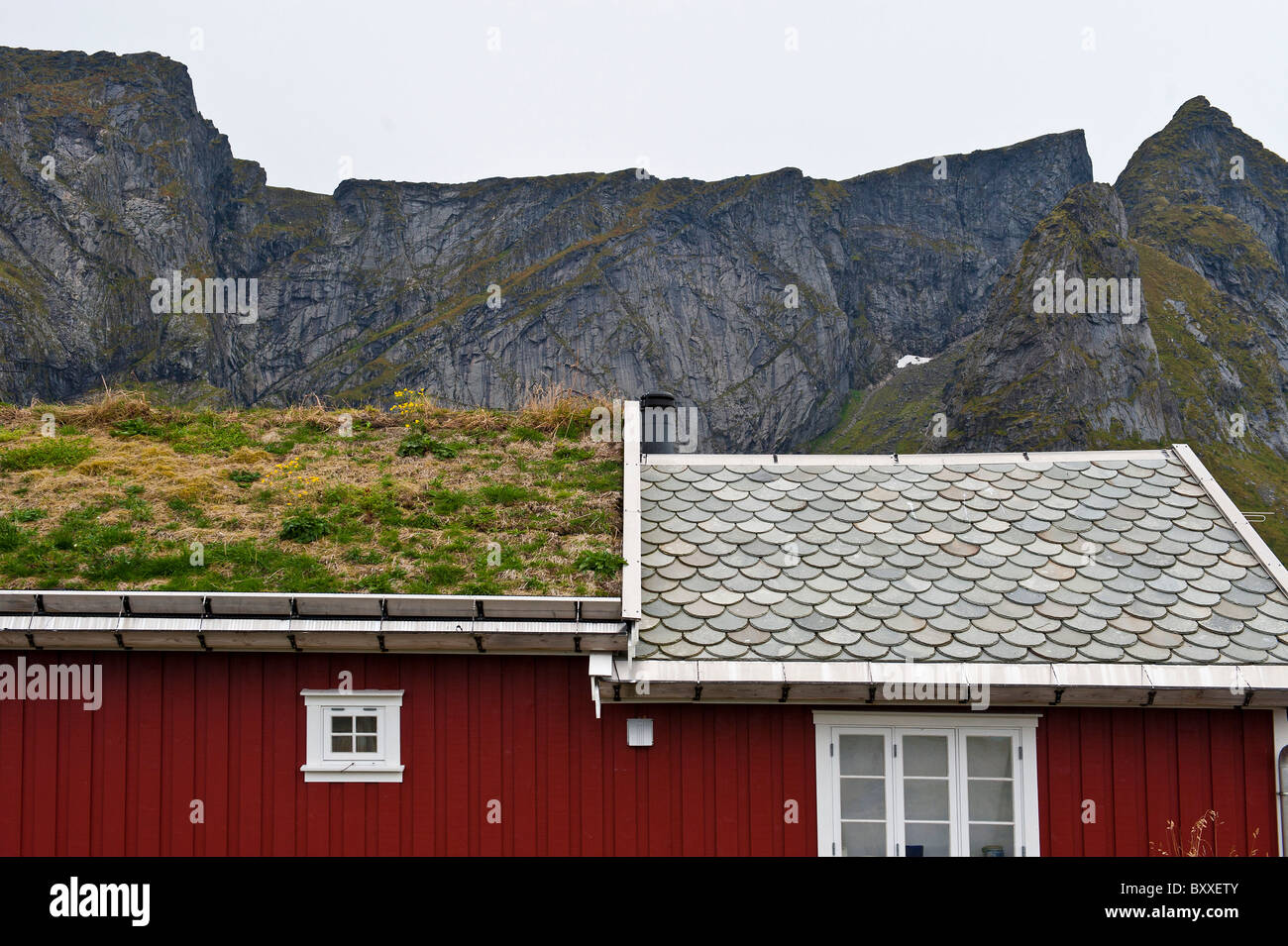 Rorbu, Fisherman's cabine, nelle Isole Lofoten. Erba sul tetto, montagna cresta in background. Foto Stock