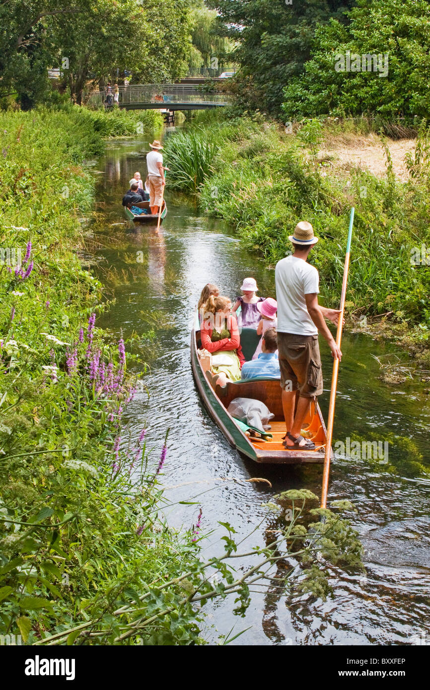 Viaggio sul Fiume sulla grande Stour in Canterbury Kent, Regno Unito. Durante i mesi estivi di tre aziende a conduzione gite sul fiume. Foto Stock