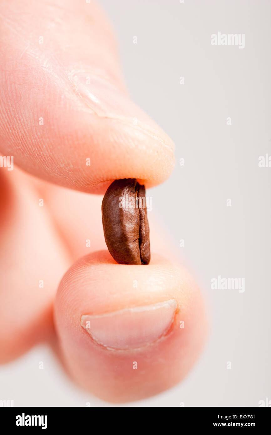 Mano con coffee bean.Svezia Foto Stock