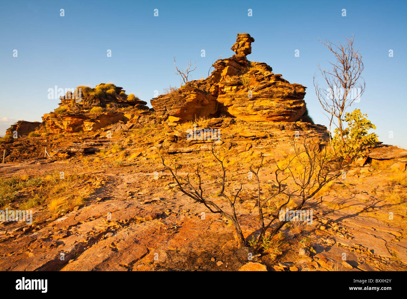 Ruged scarpata in Mirima National Park, Kununurra, Kimberley, Australia occidentale Foto Stock