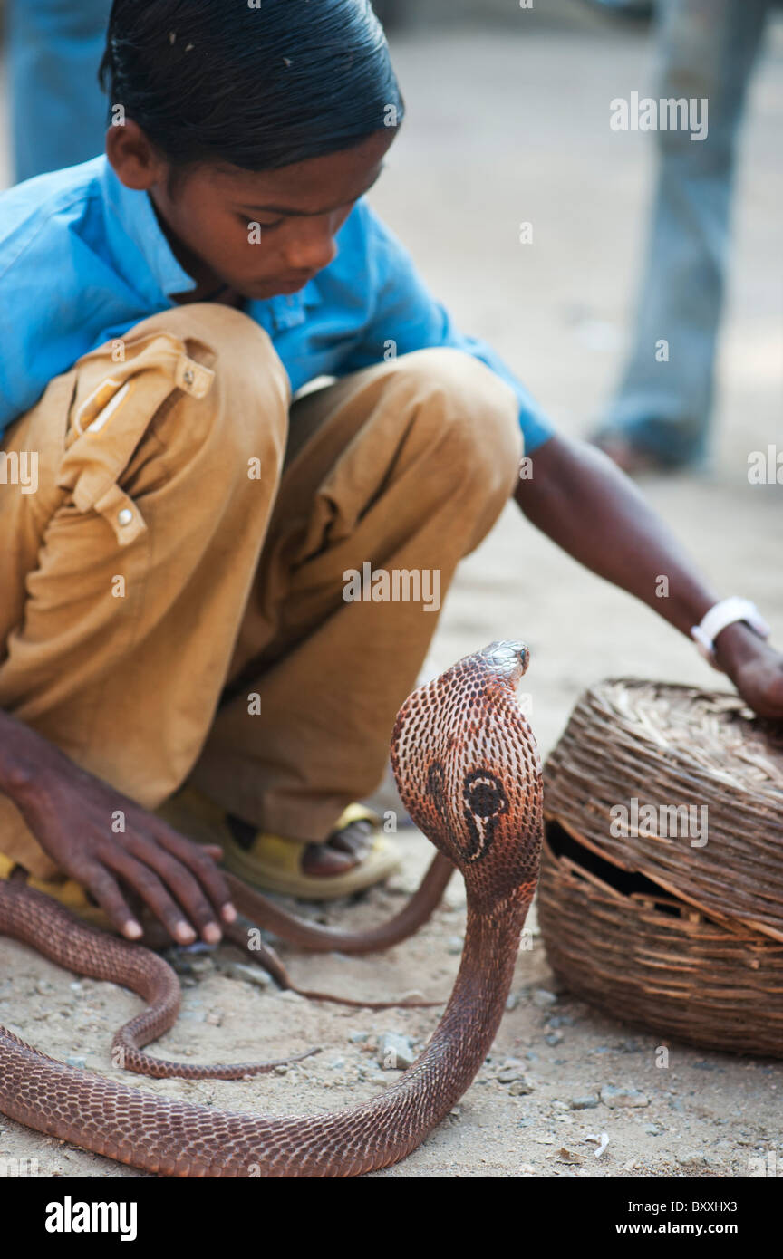 Poveri di casta inferiore ragazzo indiano di accattonaggio con Spectacled Cobra su un India street. Andhra Pradesh, India Foto Stock