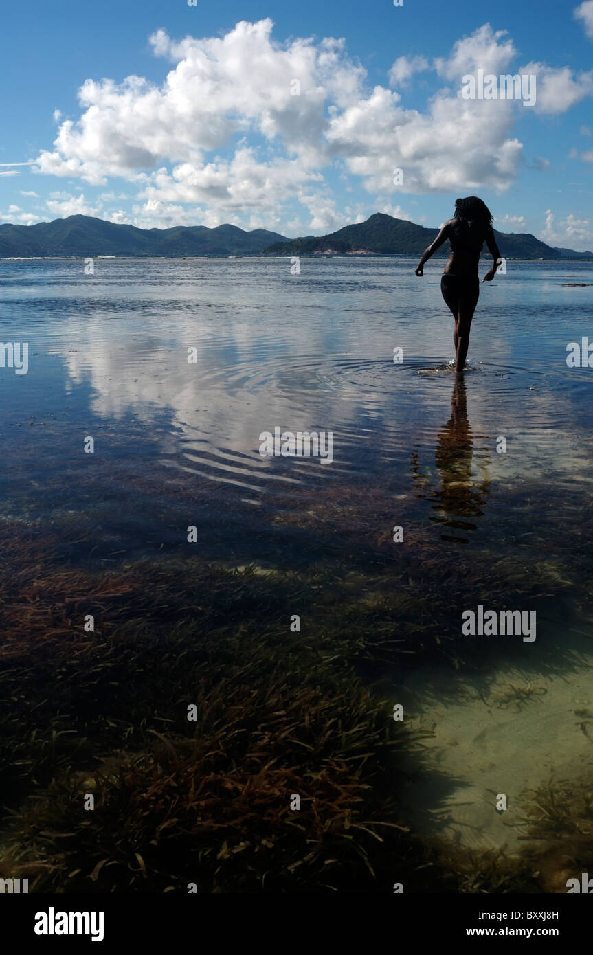 Silhouette di donna a piedi nella laguna, Seicelle Foto Stock