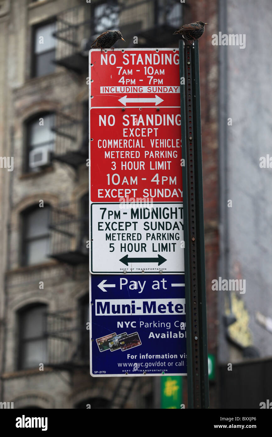 Gli uccelli in piedi su 'No standing' strada segno a China Town, New York 2010 Foto Stock