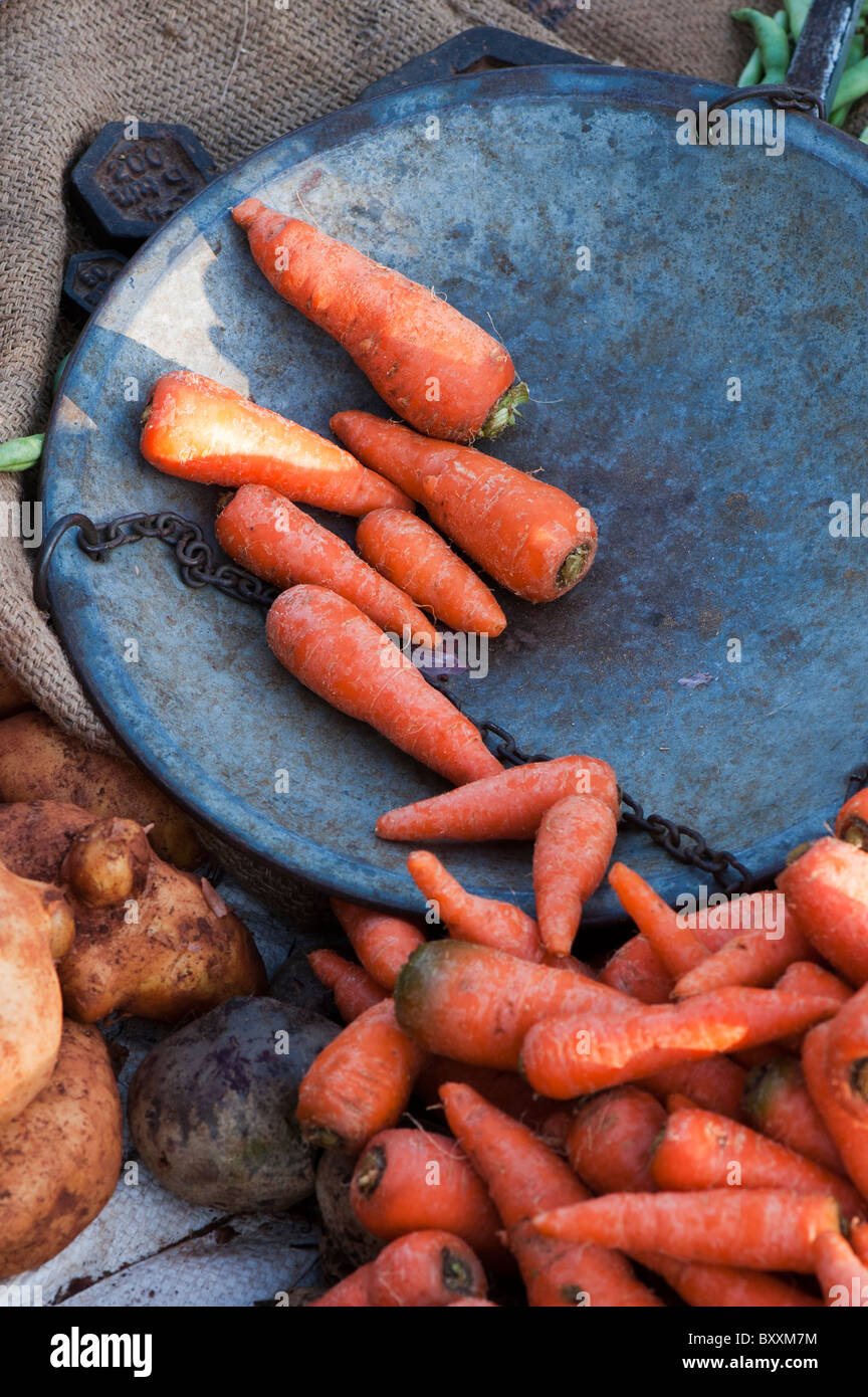 Le carote sulla bilancia ad un indiano mercato ortofrutticolo. Puttaparthi, Andhra Pradesh, India Foto Stock