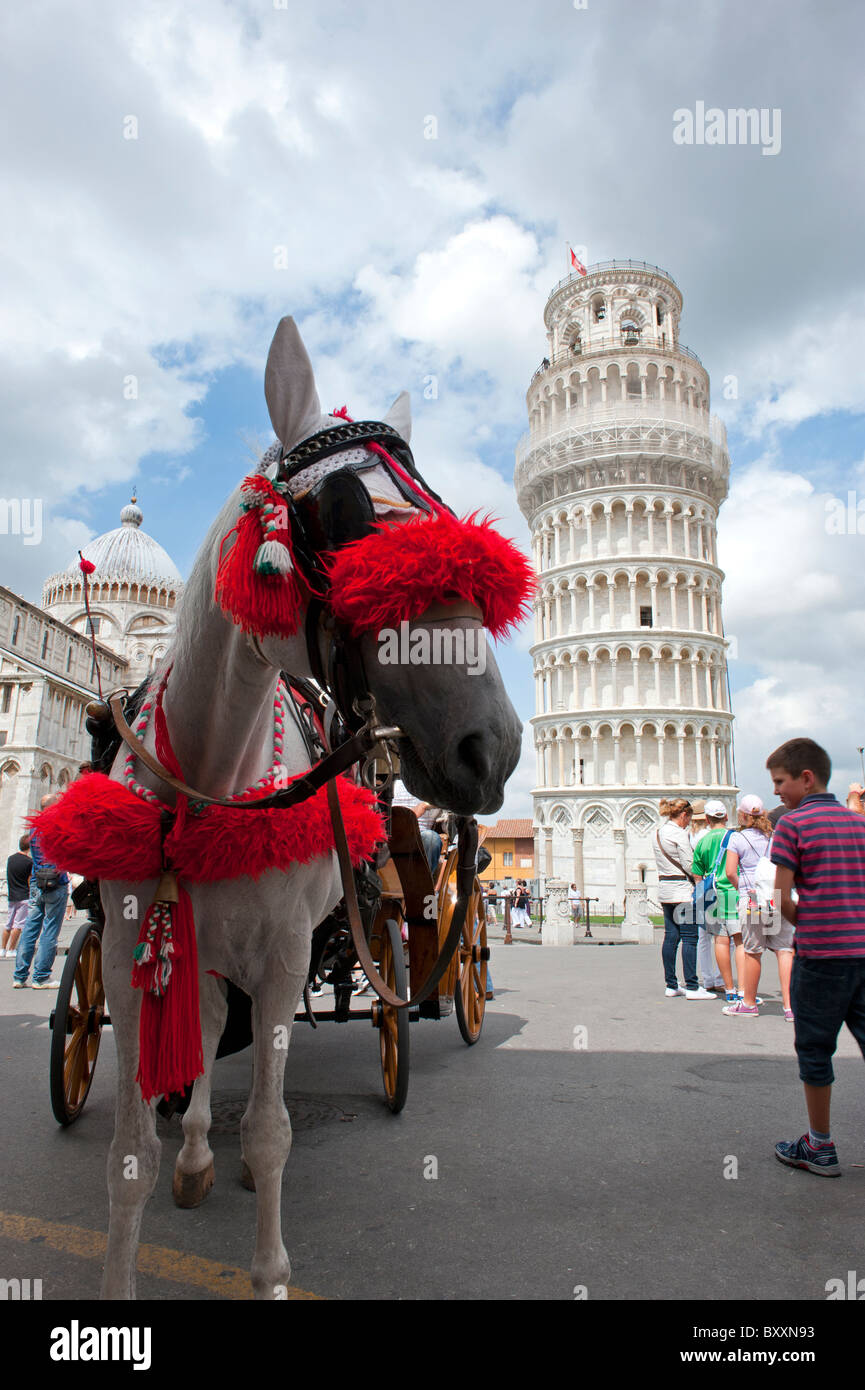 Piazza dei Miracoli e la Torre Pendente di Pisa Italia Foto Stock