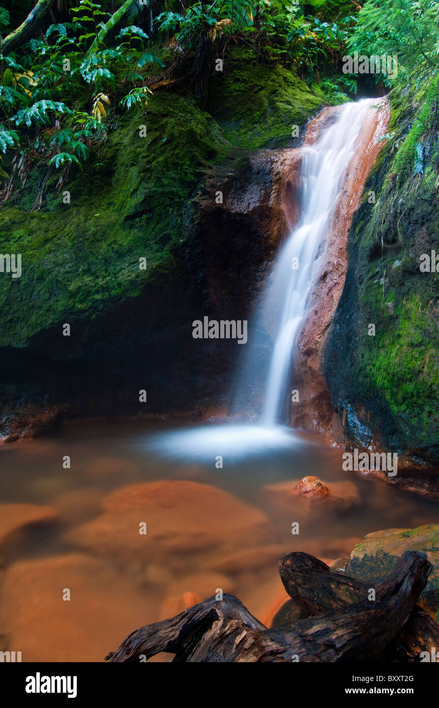 Cascata e streaming da isole Azzorre. Si tratta di calda acqua vulcanica con una elevata concentrazione di ferro quindi il colore arancione. Foto Stock