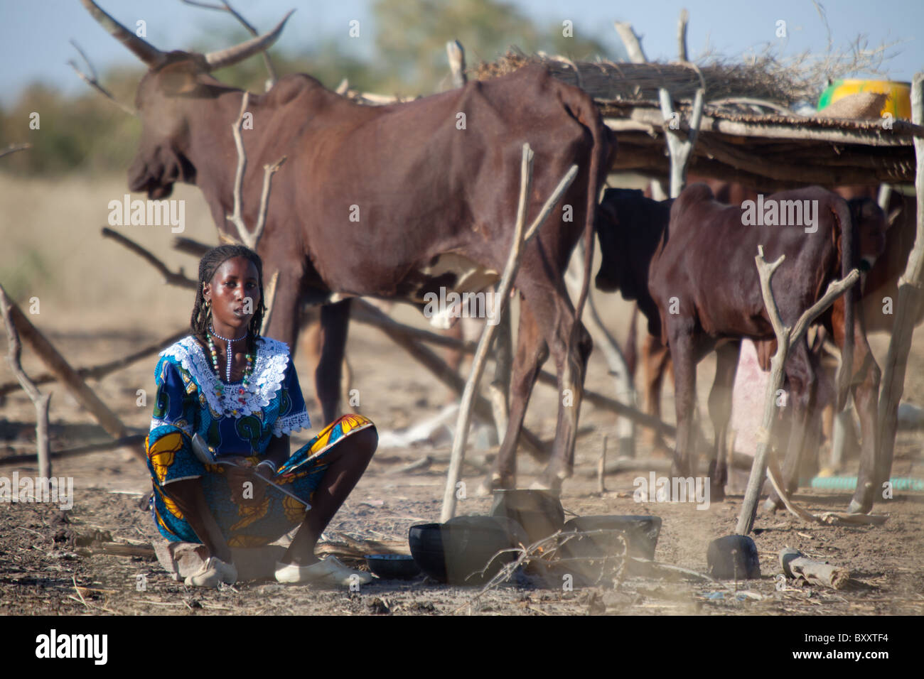 Nel villaggio di stagionali di Bantagiri nel nord del Burkina Faso, Fulani donna cuochi colazione all'aperto sul fuoco. Foto Stock