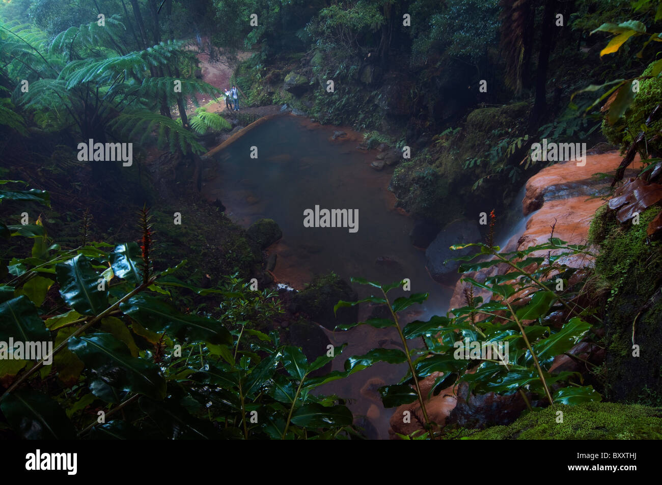 Cascata e streaming da isole Azzorre. Si tratta di calda acqua vulcanica con una elevata concentrazione di ferro quindi il colore arancione. Foto Stock