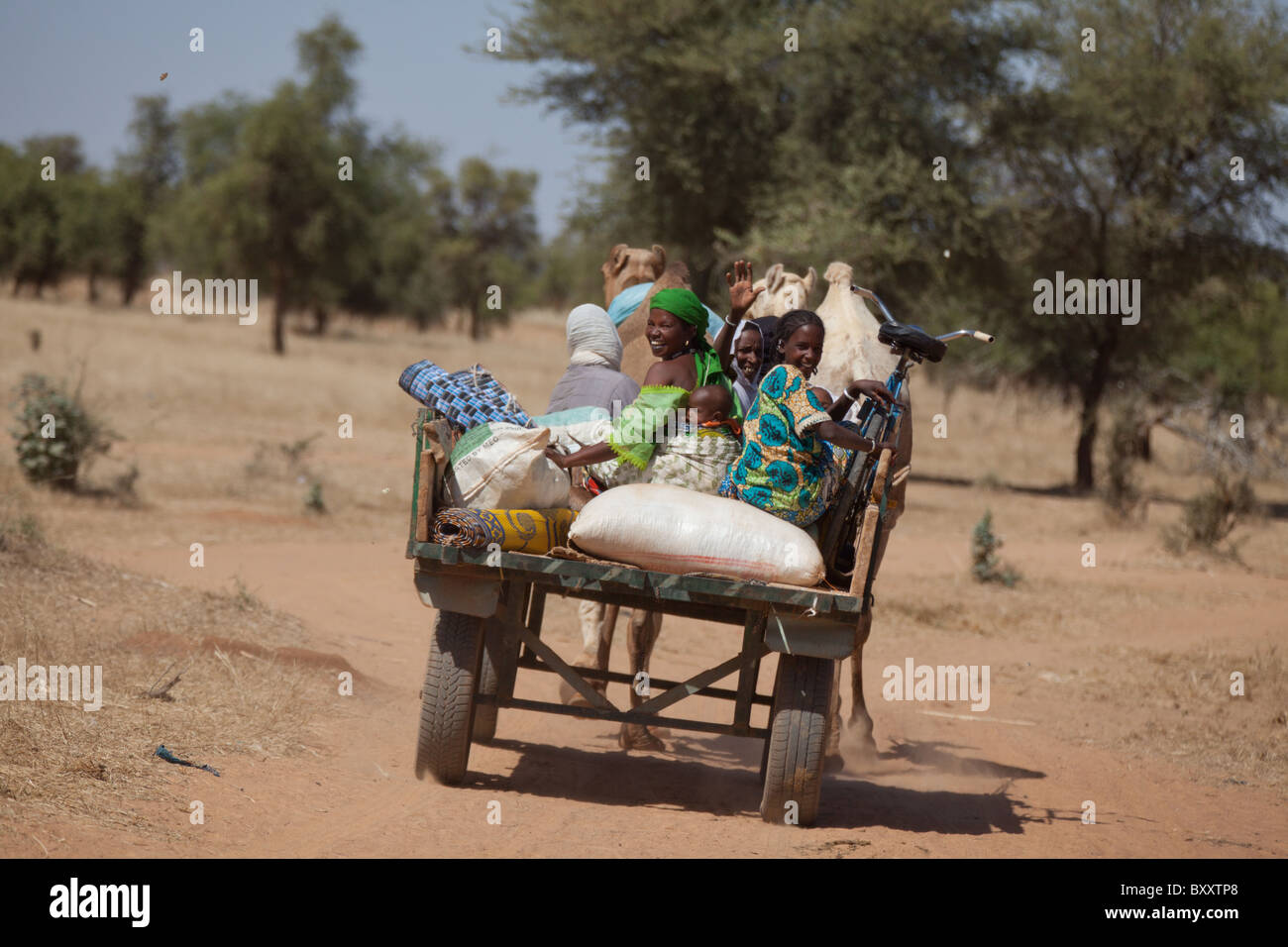 Un gruppo di Fulani cavalcare un cammello carrello attraverso il Villaggio Mercato di Bourro nel nord del Burkina Faso. Foto Stock