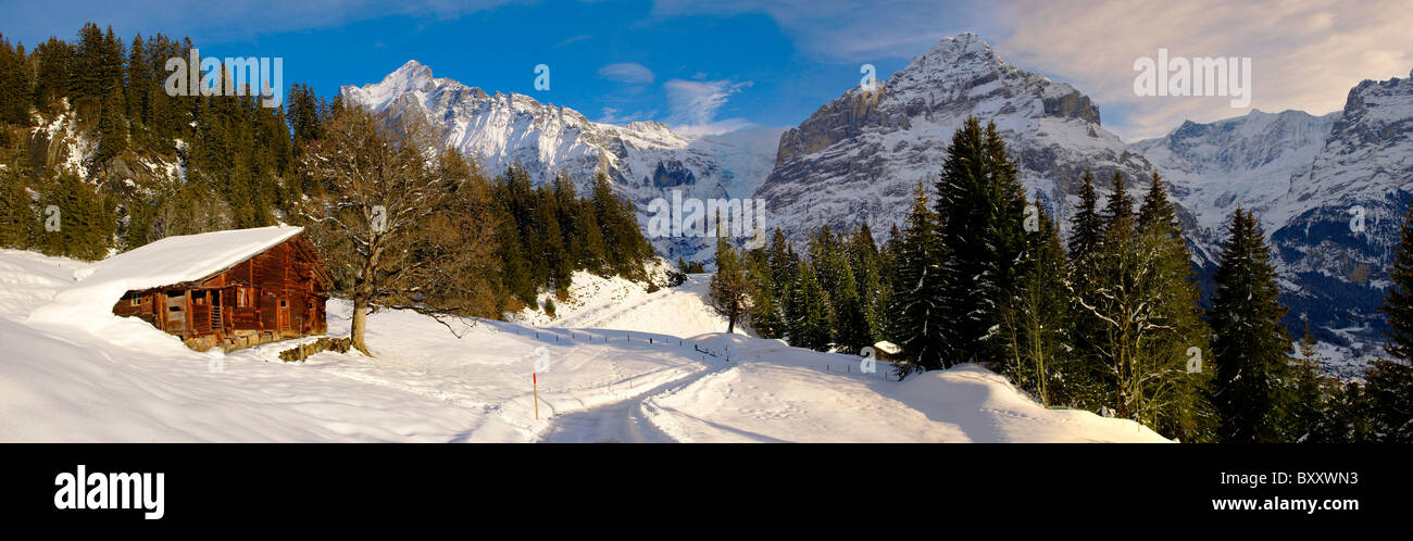 Chalet di montagna in inverno guardando verso il wetterhorn montagna. Grindelwald, Alpi Svizzere Foto Stock