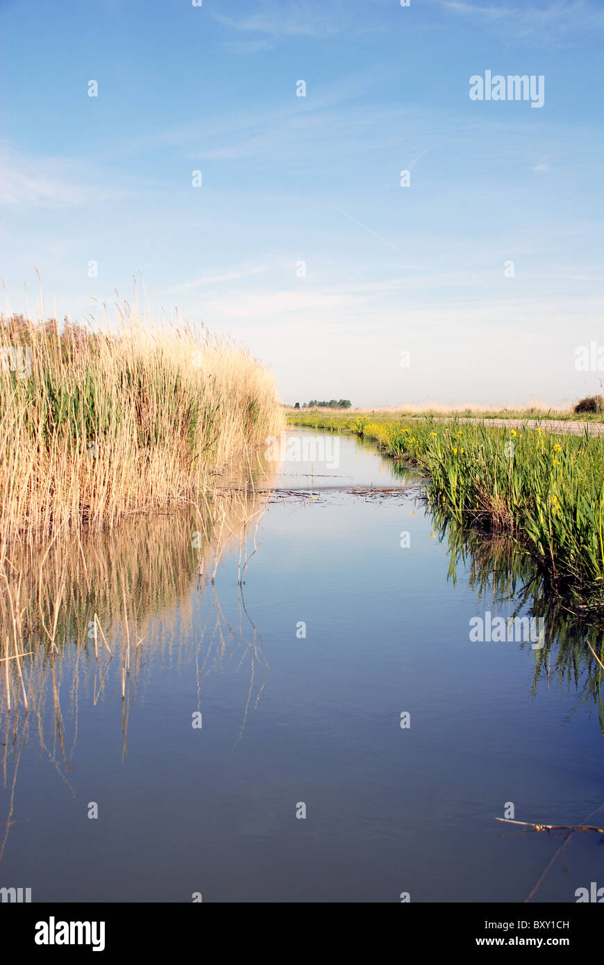 Blue River Foto Stock