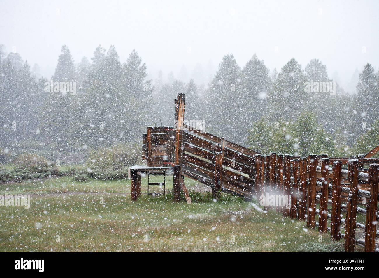 La neve cade su un ranch nelle montagne della Sierra Nevada della California. Foto Stock