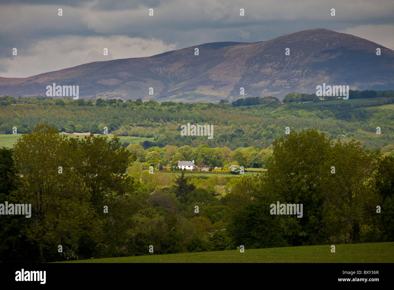 Agriturismo e vista in lontananza le montagne Knockmealdown a Glengoura, County Cork, Irlanda Foto Stock