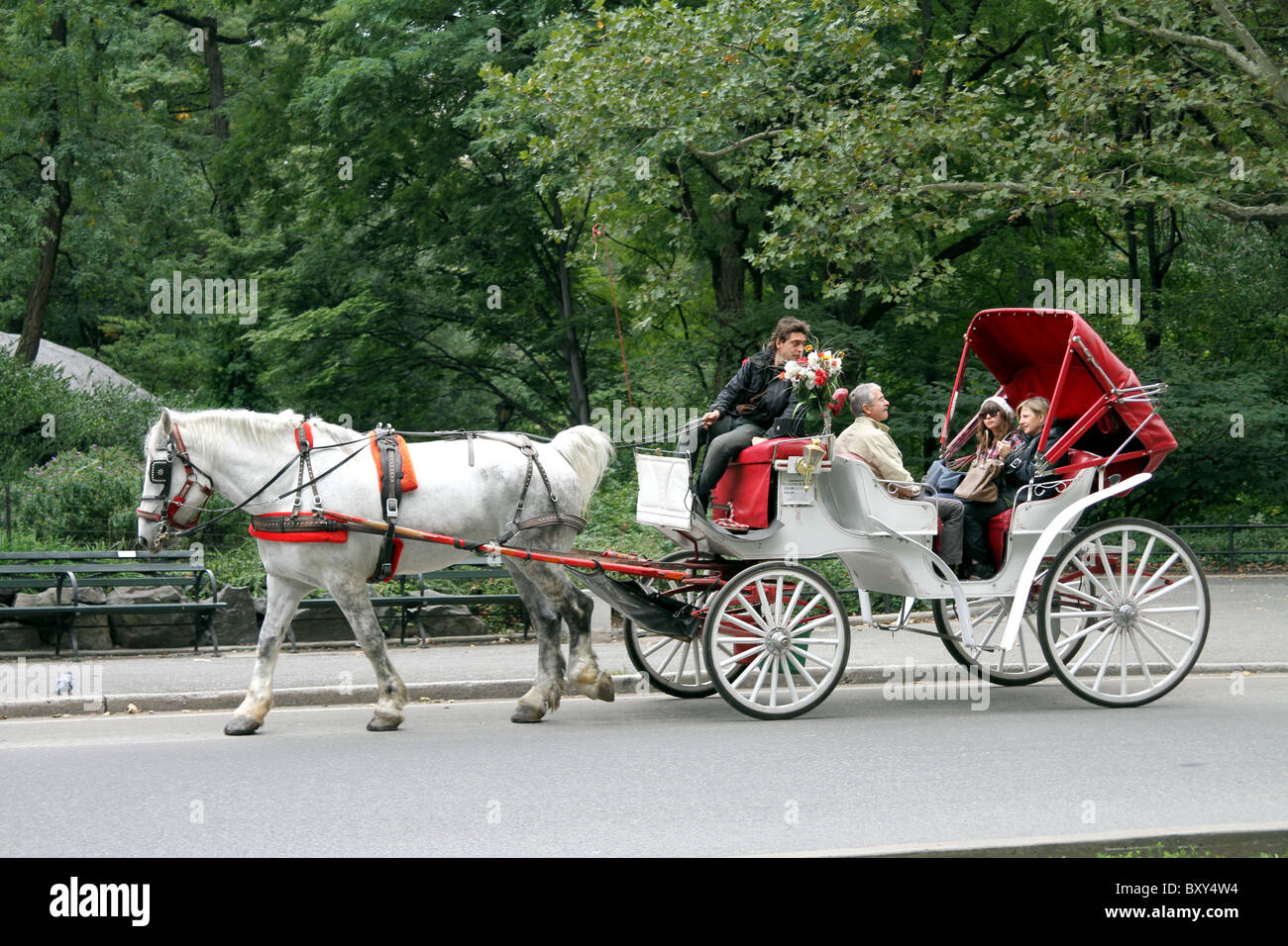 Cavallo e Carrozza nel Central Park di New York, America Foto Stock
