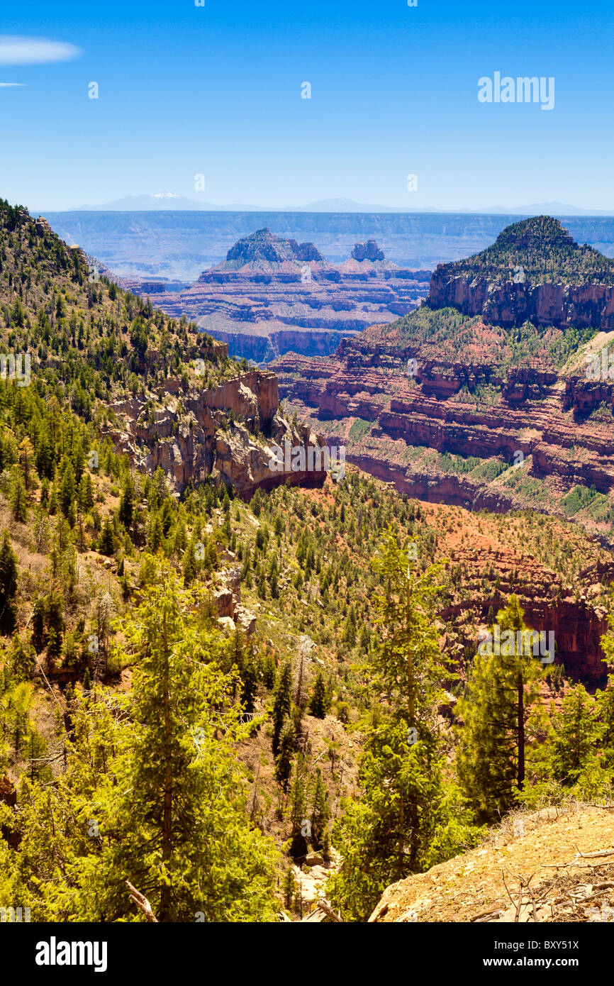 Parco Nazionale del Grand Canyon Foto Stock
