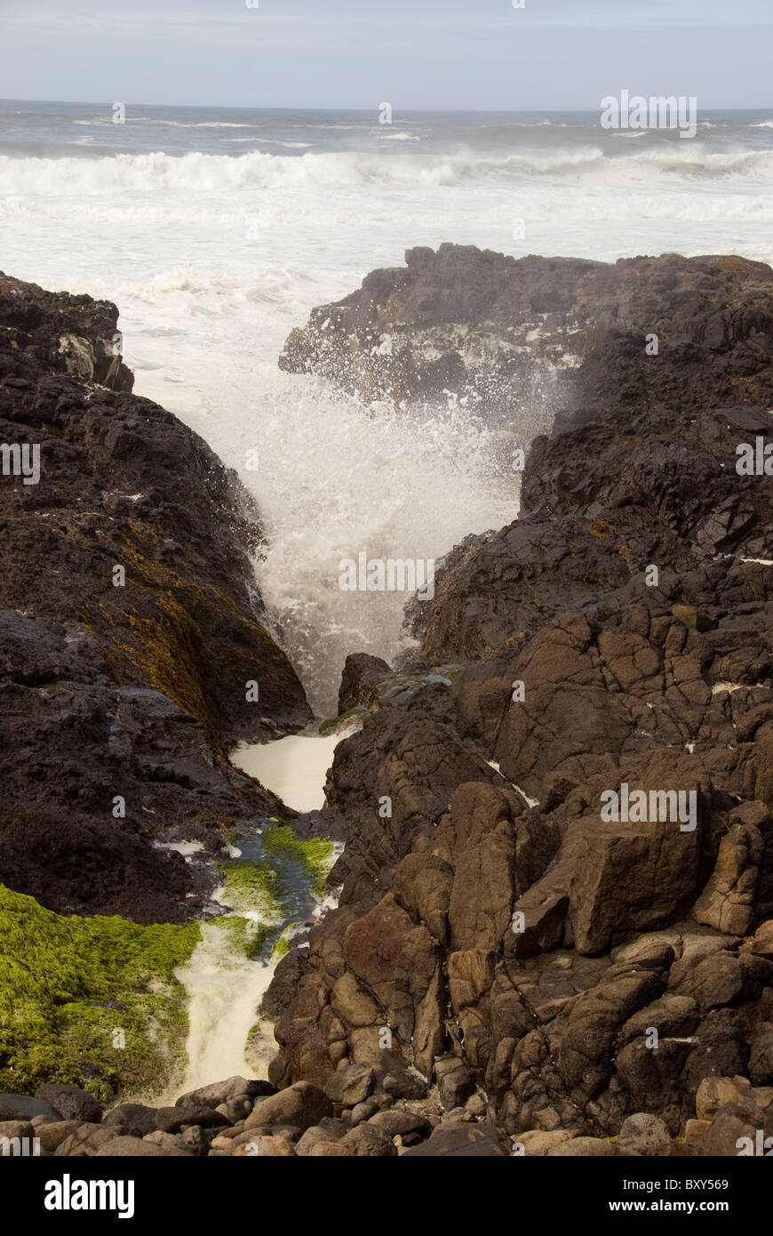 Onde precipitando in una stretta intercapedine tra le rocce lungo la costa centrale della Oregon, Stati Uniti d'America Foto Stock
