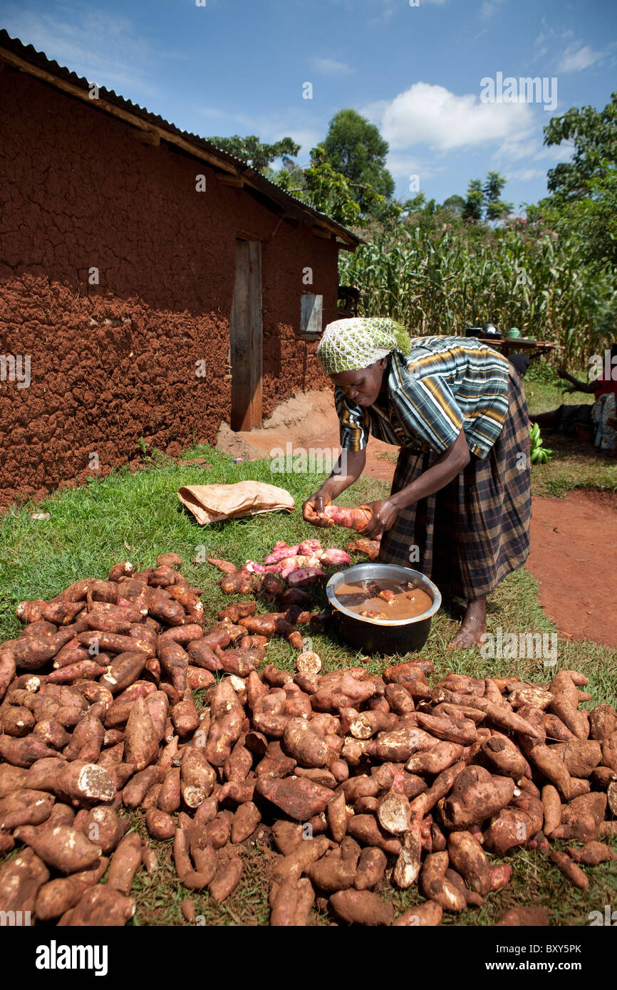 Martha Misiko (32) con il suo dolce patate - Quartiere Webuye, Kenya occidentale Foto Stock