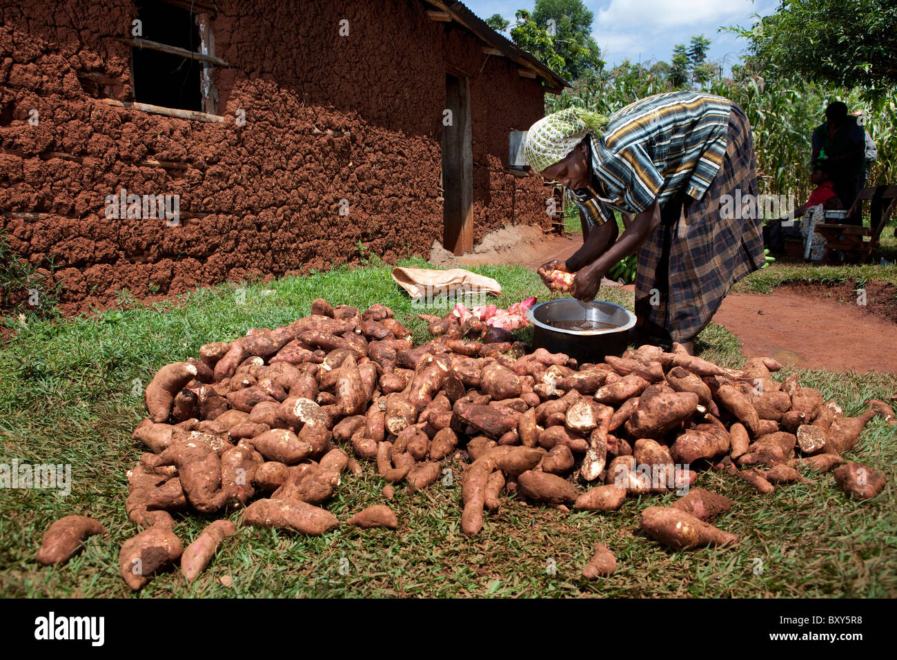Martha Misiko (32) con il suo dolce patate - Quartiere Webuye, Kenya occidentale Foto Stock