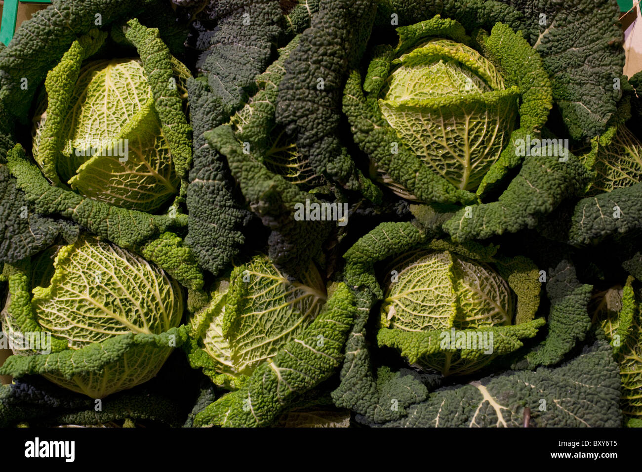Verde scuro e molto freschi Cavoli Savoia in vendita presso un fruttivendolo presso la Oxford mercato coperto. Foto Stock