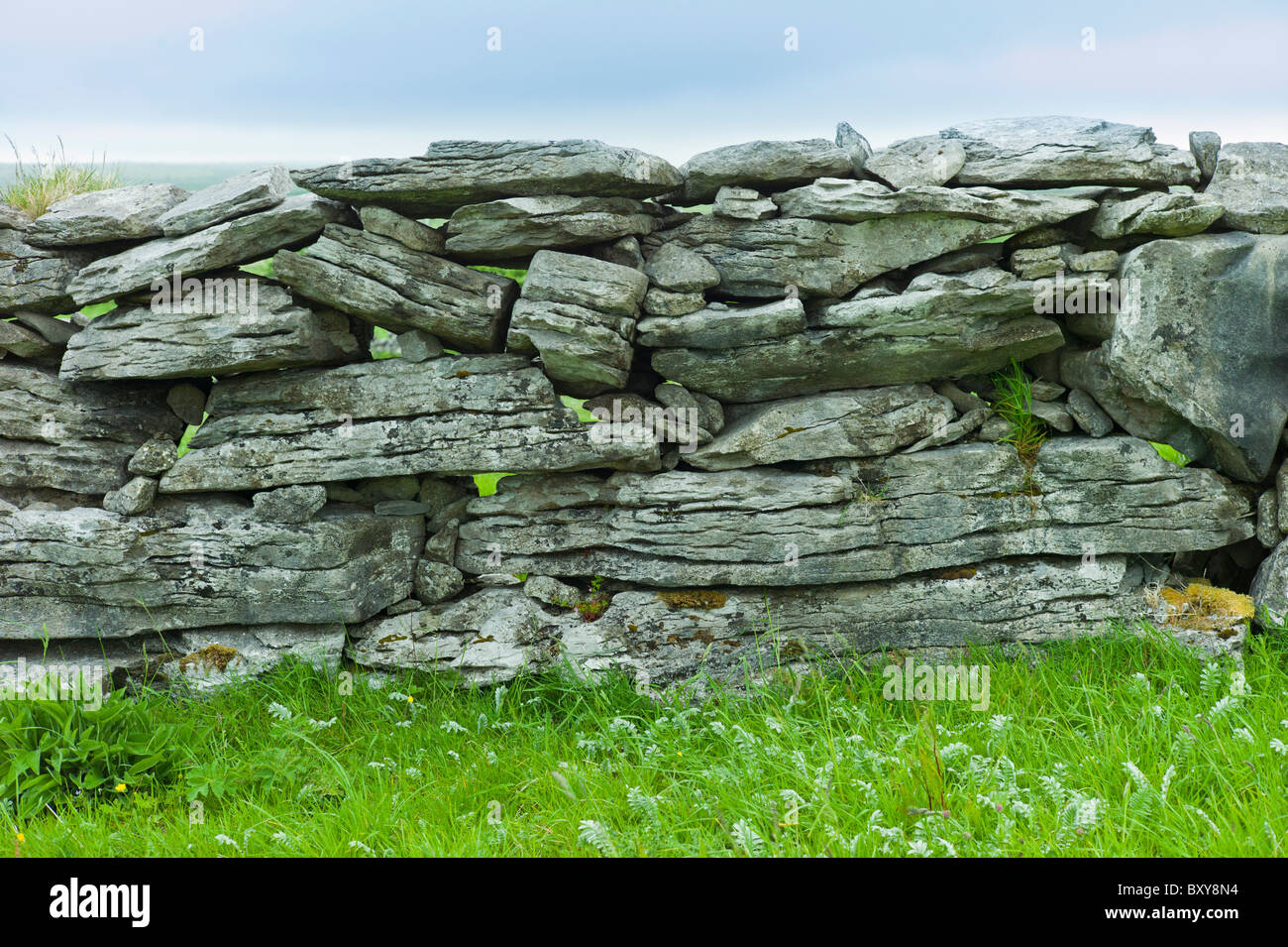 A SECCO tradizionale muro di pietra, pietre disposti di piatto, in campo nel Burren, County Clare, Irlanda occidentale Foto Stock