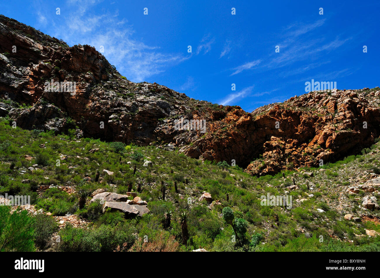 Arenarie rosso del capo piegare la cinghia. Sud Africa. Foto Stock
