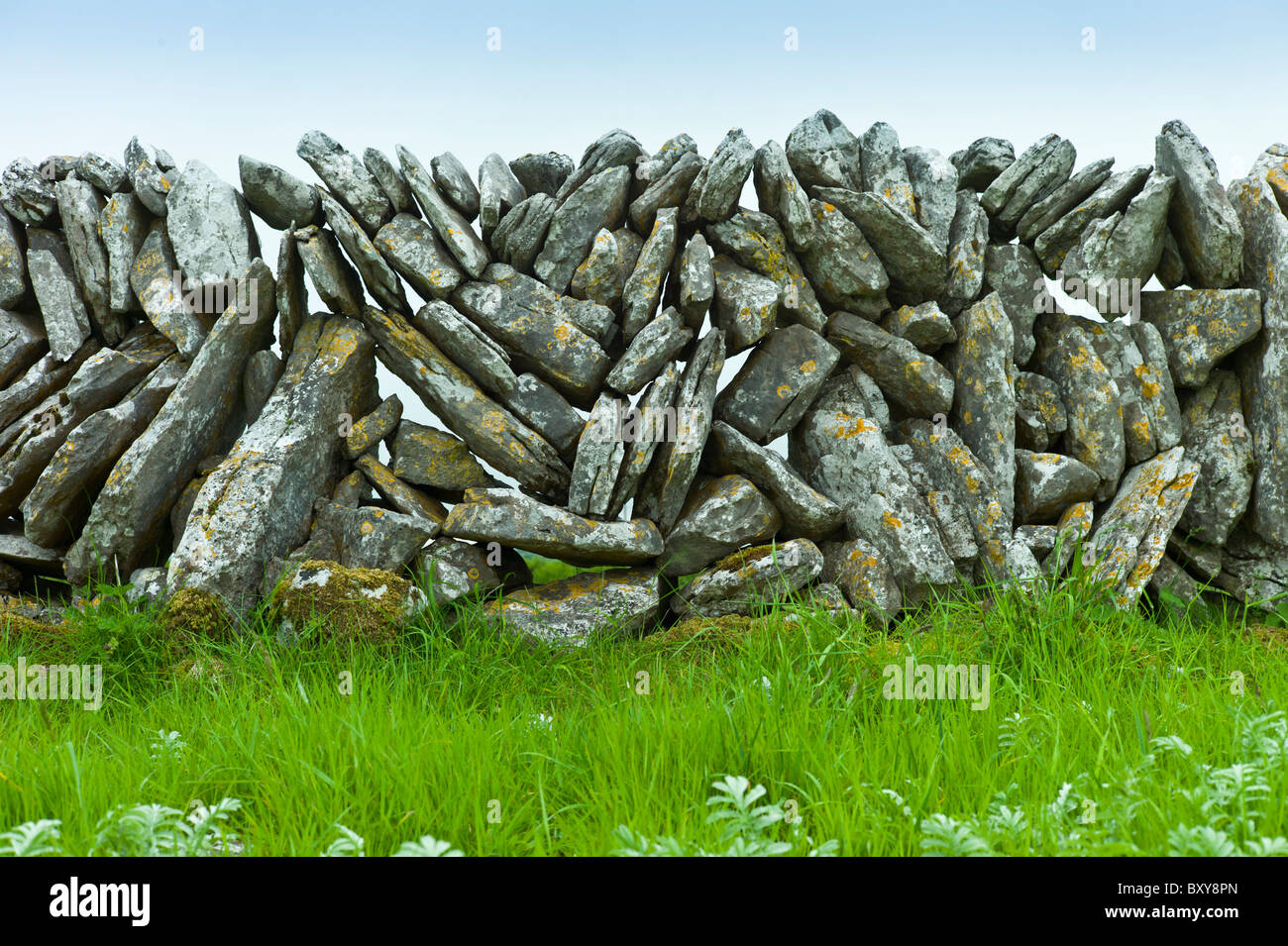 Tradizionale in pietra a secco, di parete inclinate verticali pietre nel campo nel Burren, County Clare, Irlanda occidentale Foto Stock
