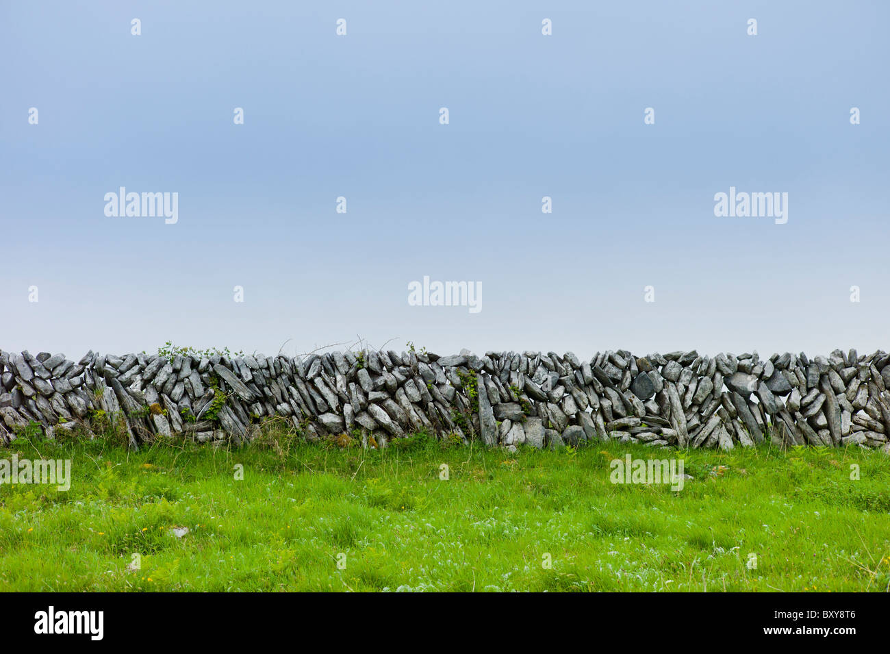 Tradizionale in pietra a secco della parete verticale di pietre inclinate in campo nel Burren, County Clare, Irlanda occidentale Foto Stock