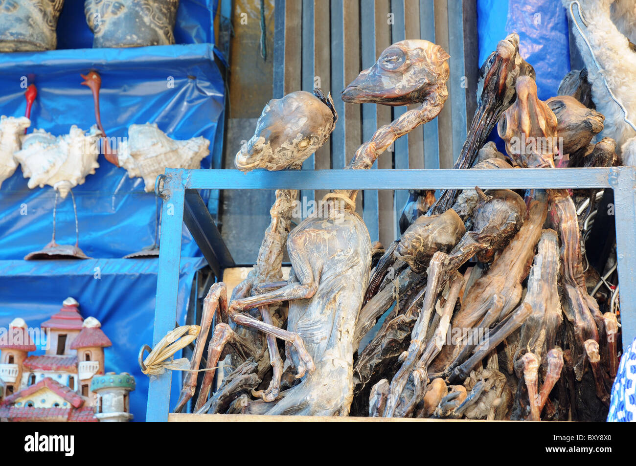 Essiccato llama feto in vendita su La Paz del mercato delle streghe Foto Stock