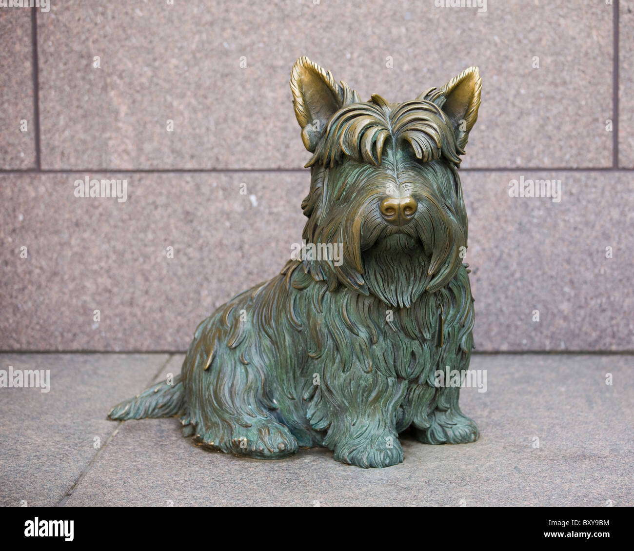 Una scultura in bronzo di fala, FDR's pet Scottish Terrier - Washington DC, Stati Uniti d'America Foto Stock