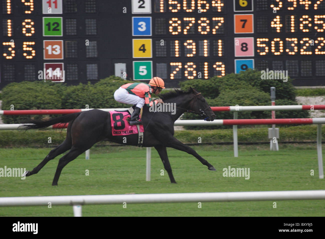 Ramon Dominguez a bordo di controllare l'etichetta vince il Virginia Oaks gara a Colonial Downs,New Kent County, Virginia 2010 Foto Stock