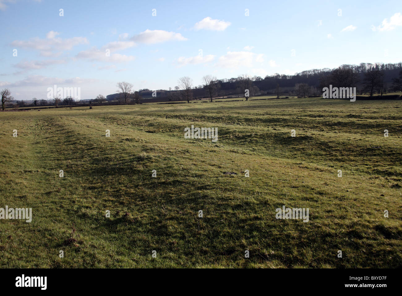 Resti di Ridge e aratura in solco, vicino Radway e Edgehill, Warwickshire Foto Stock