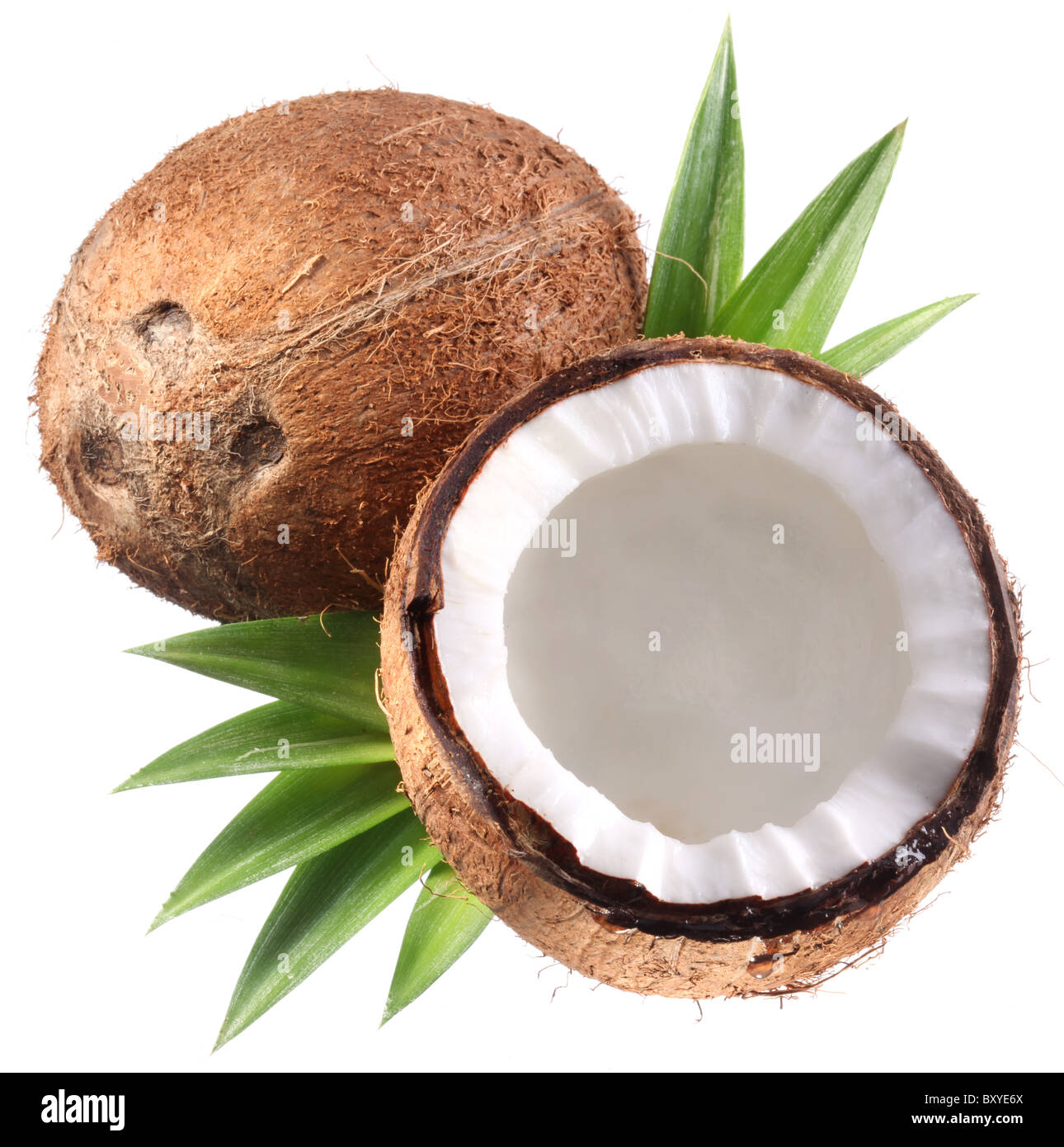 Foto di alta qualità e di noci di cocco su uno sfondo bianco. Foto Stock