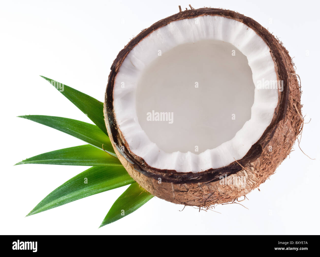 Foto di alta qualità e di noci di cocco su uno sfondo bianco. Foto Stock