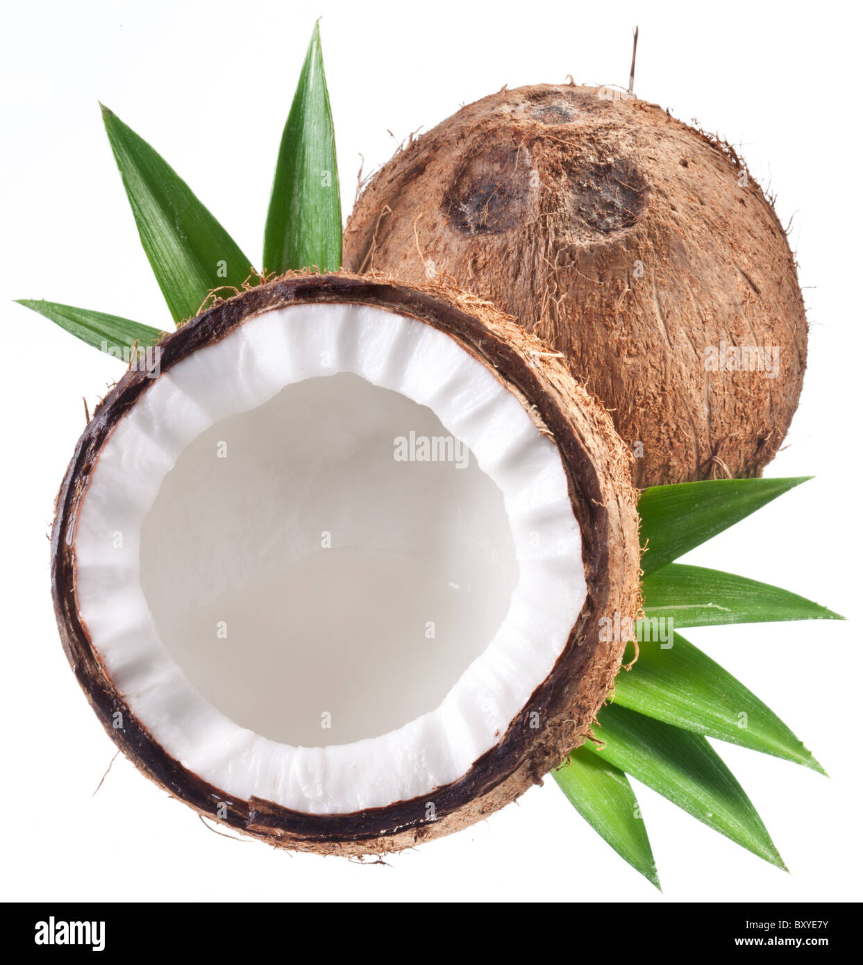 Foto di alta qualità e di noci di cocco su uno sfondo bianco. Foto Stock