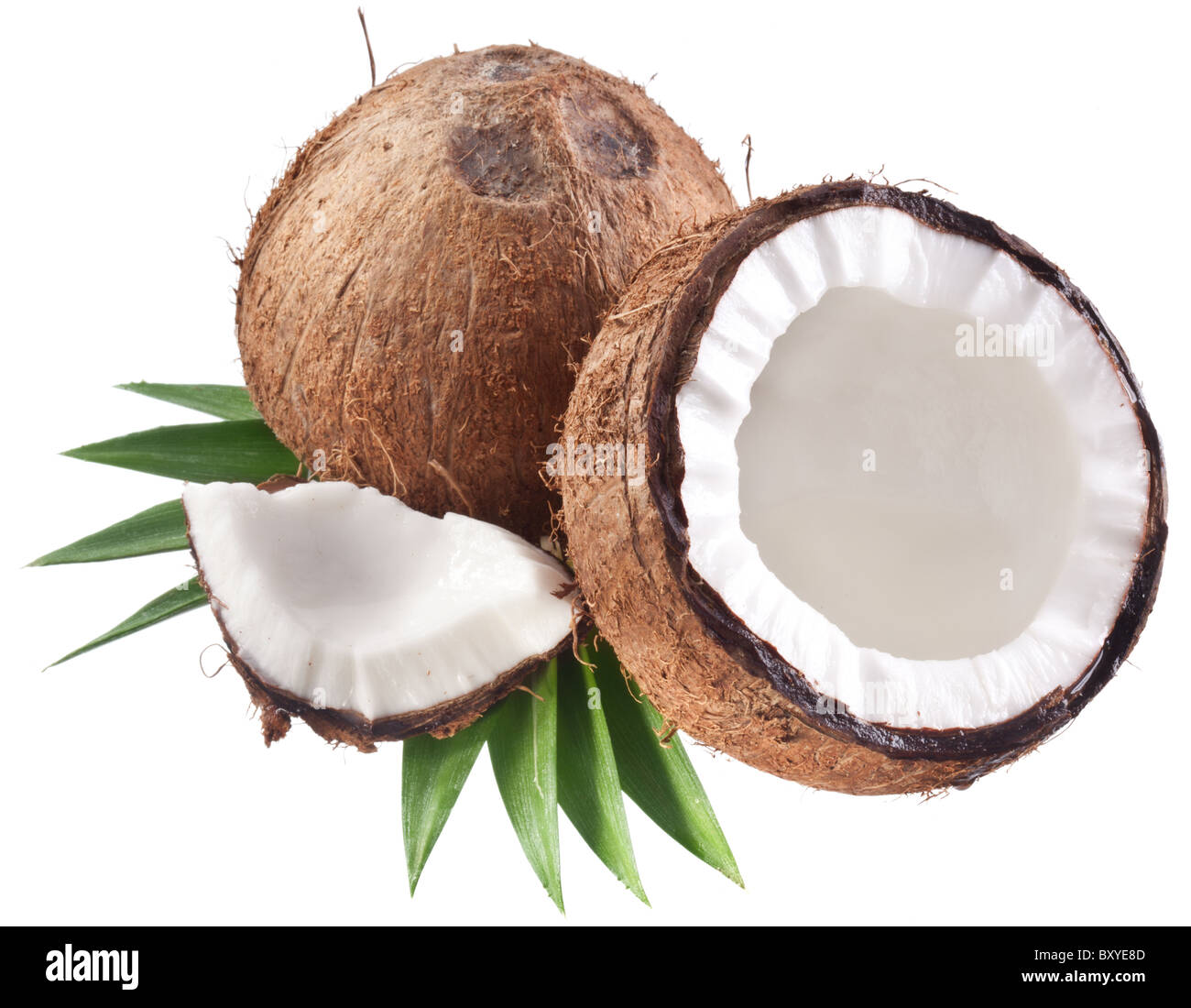 Foto di alta qualità e di noci di cocco su uno sfondo bianco. Foto Stock