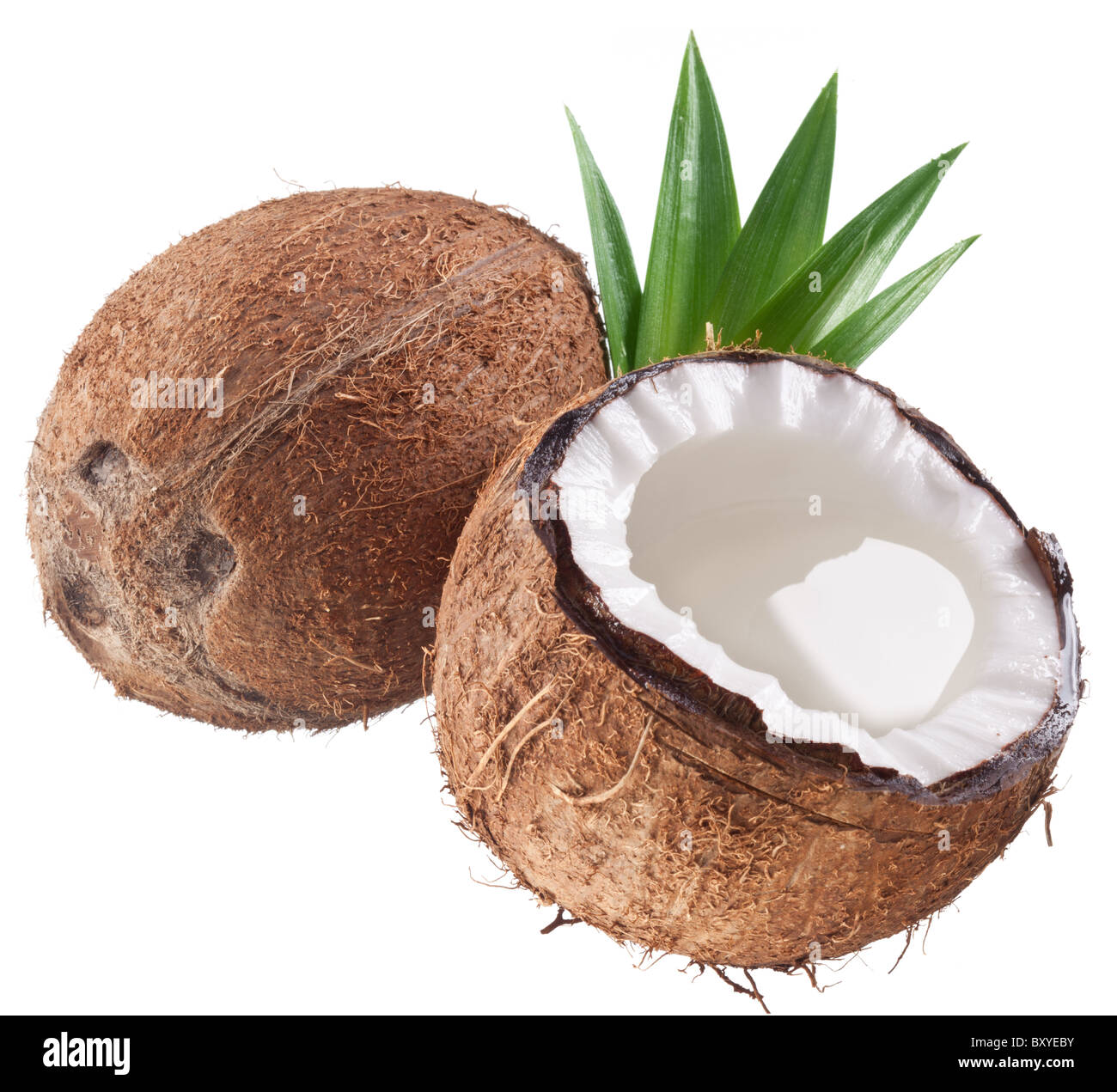 Foto di alta qualità e di noci di cocco su uno sfondo bianco. Foto Stock