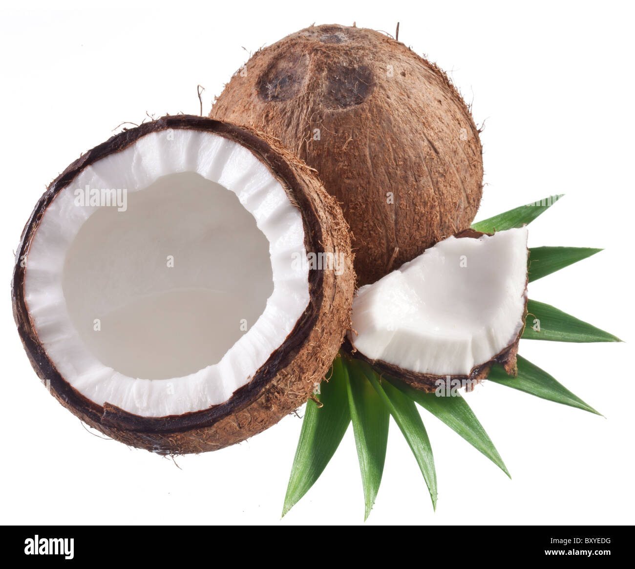 Foto di alta qualità e di noci di cocco su uno sfondo bianco. Foto Stock