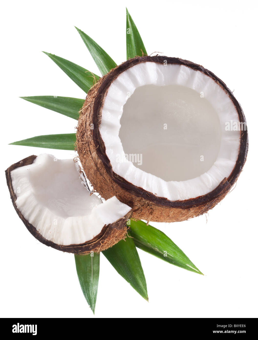 Foto di alta qualità e di noci di cocco su uno sfondo bianco. Foto Stock